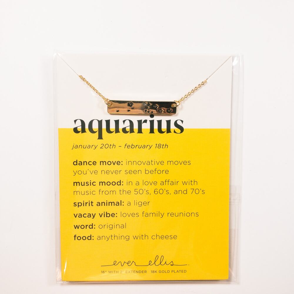Ever Ellis Aquarius Zodiac Bar Necklace 18K Gold Plated Astrology Jewelry